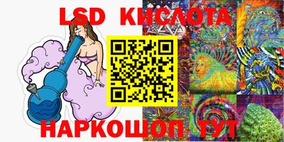 шишки Абакан