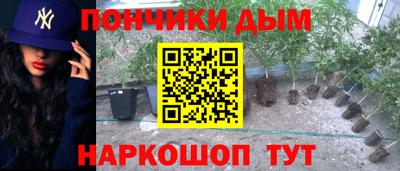 шишки Абакан